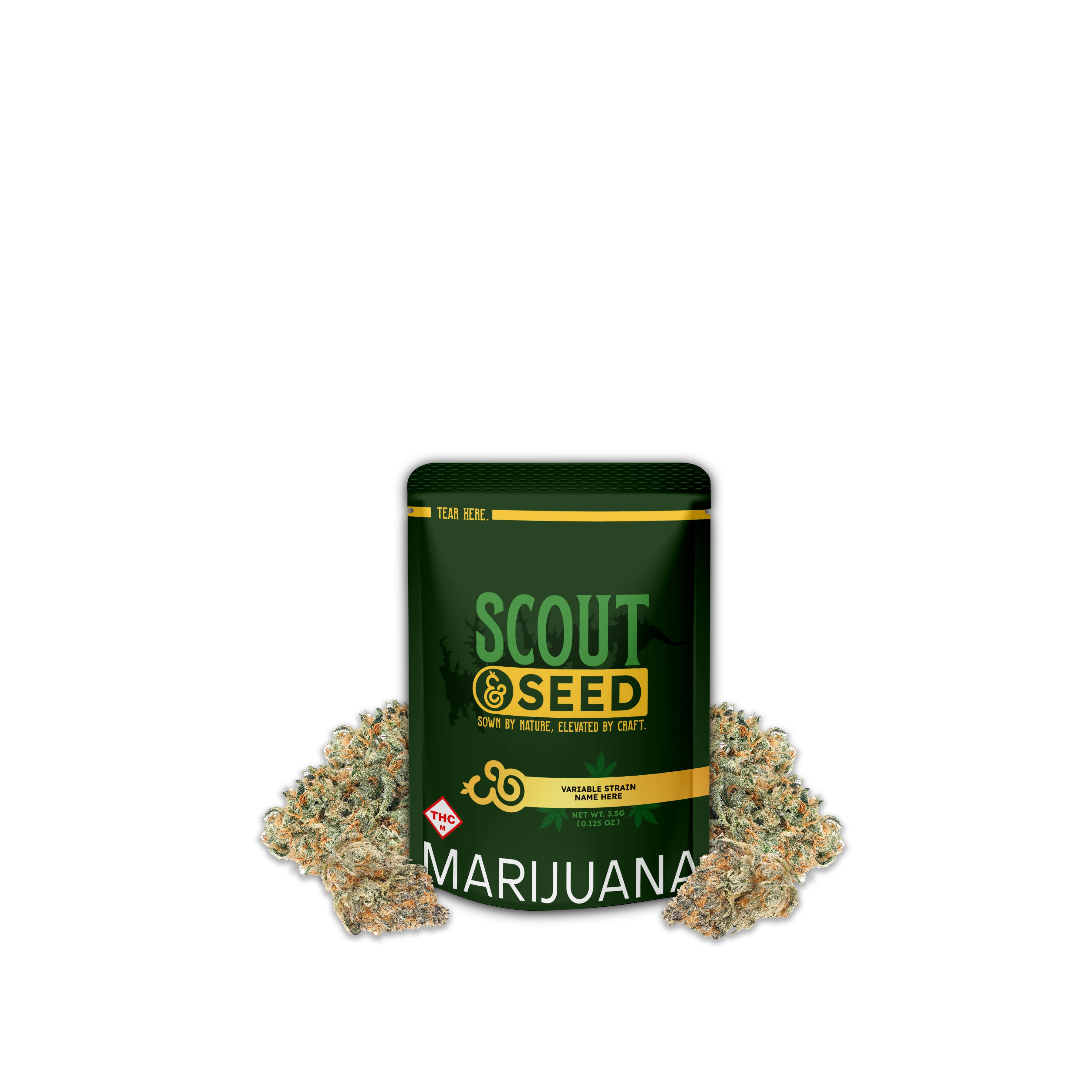 Grape Gas 3.5g - Hybrid - Scout & Seed