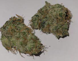 Tundra Berry Flower by GNC