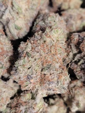 Marmalade Kush Flower by Great Northern Cannabis