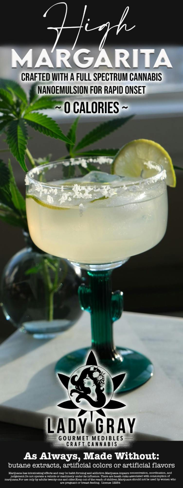 Mango High Margarita