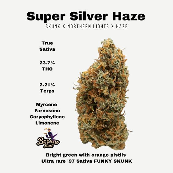 Super Silver Haze 7g| Borneo Bud
