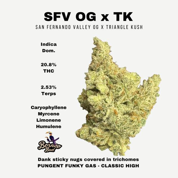SFV x TK OG Kush 7g| Borneo Bud