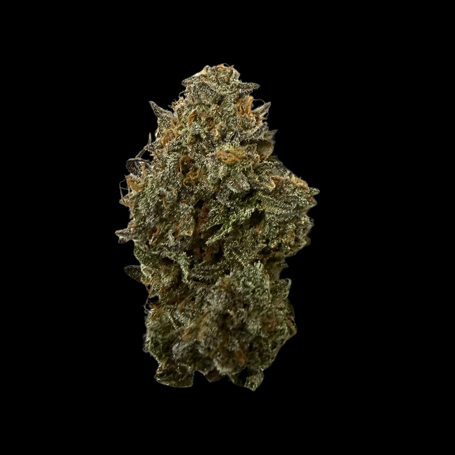 7g Rainbow Beltz (GruV)