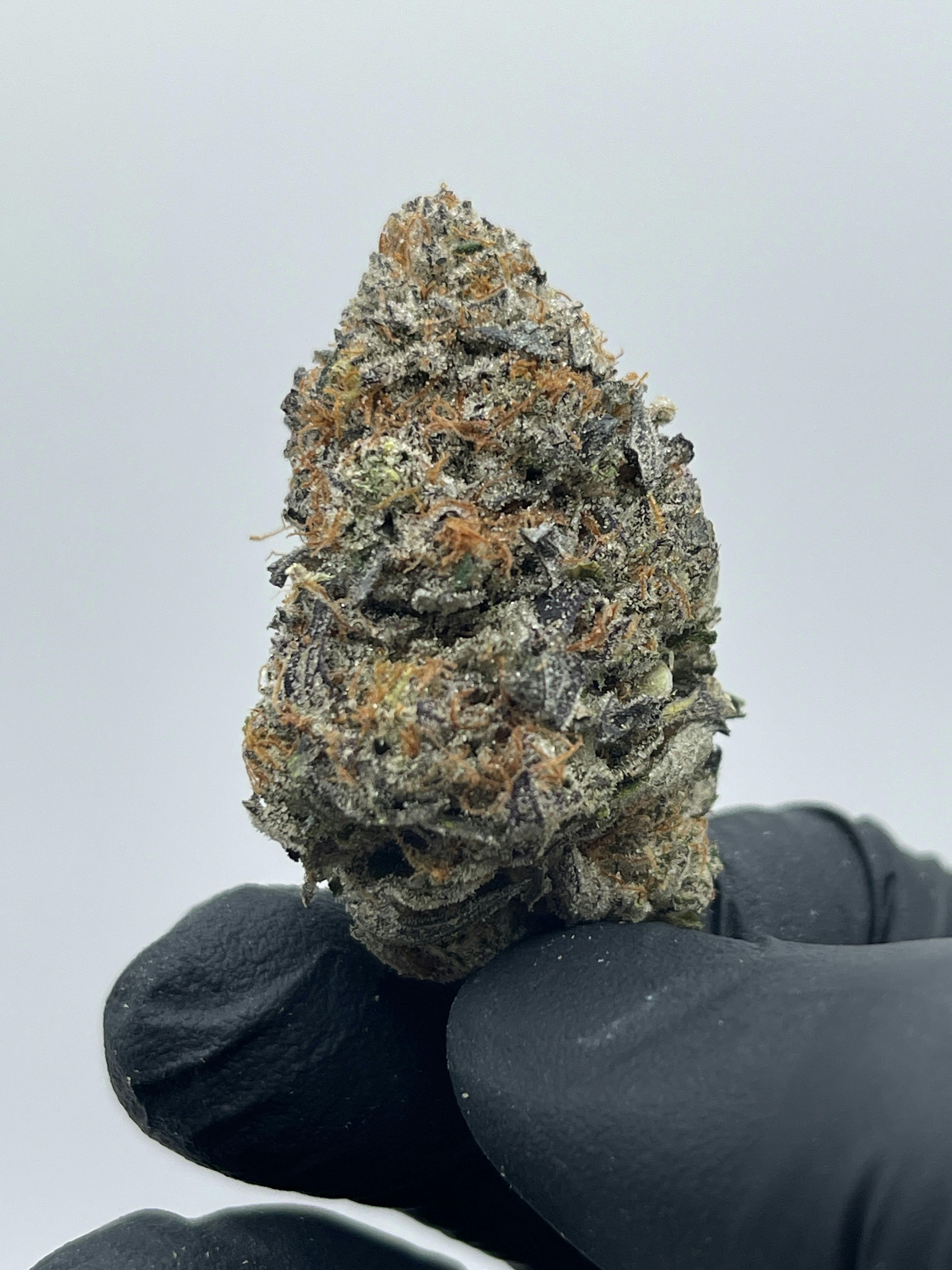 OGKB | Black Diamond Farms