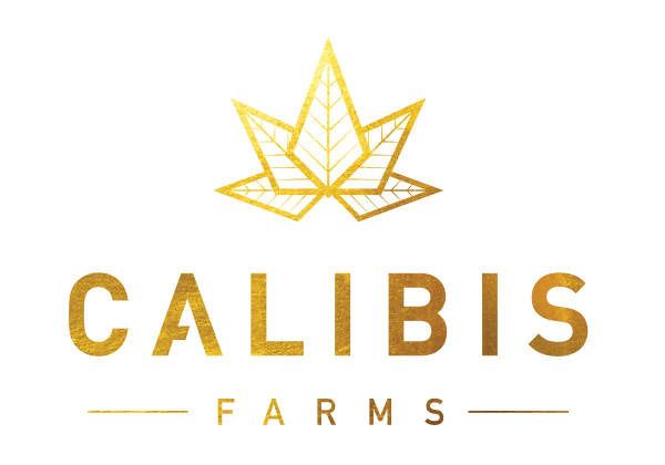 Calibis — Kiwi Dragon