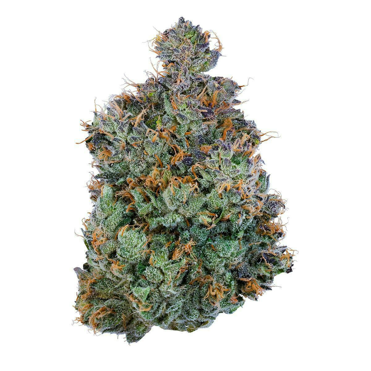Fig Farms: Chems & Cherry
