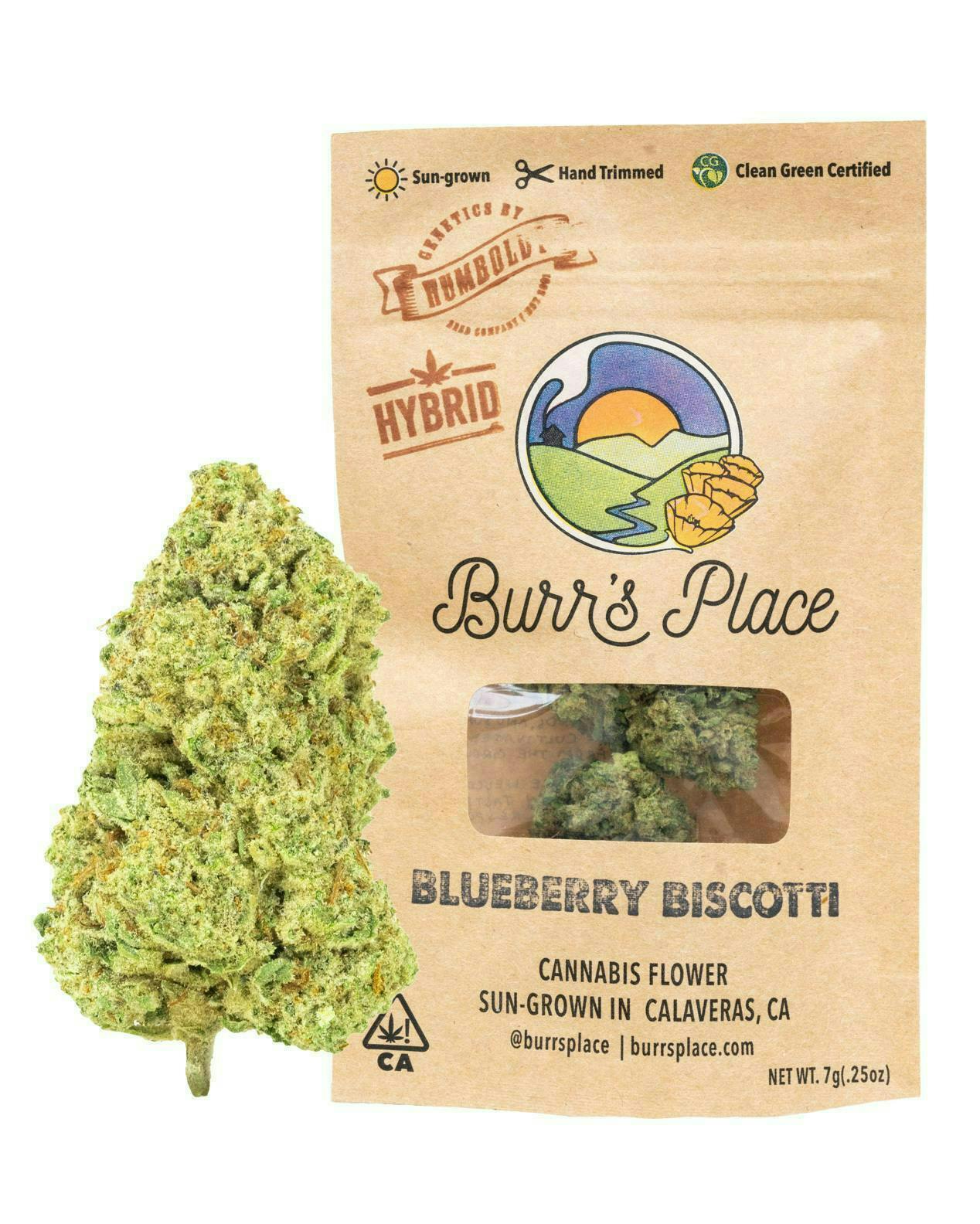 Burr's Blueberry Biscotti: Burr's Blueberry Biscotti 1/2