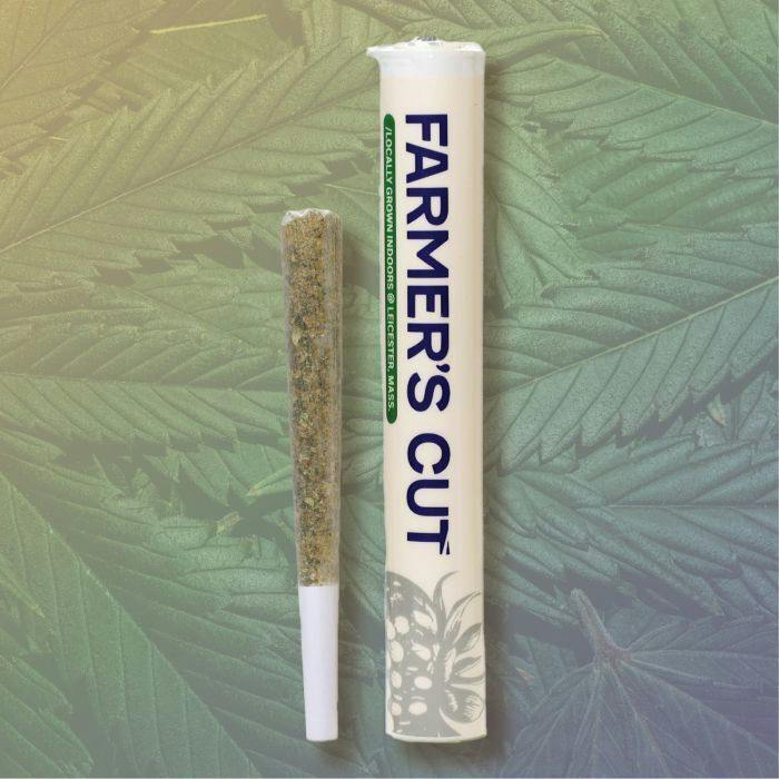 Farmer's Cut PreRoll (1.0g) Tropical Headband at Nature's Medicines