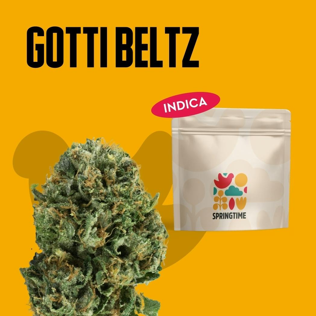Springtime Prepack (1/8 oz) Gotti Beltz at Nature's Medicines