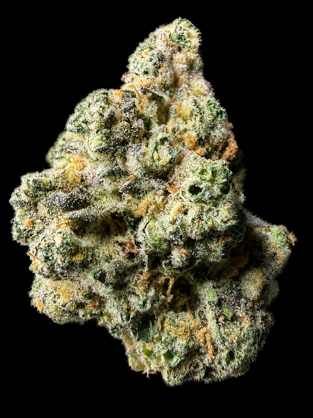 Jungle Cake