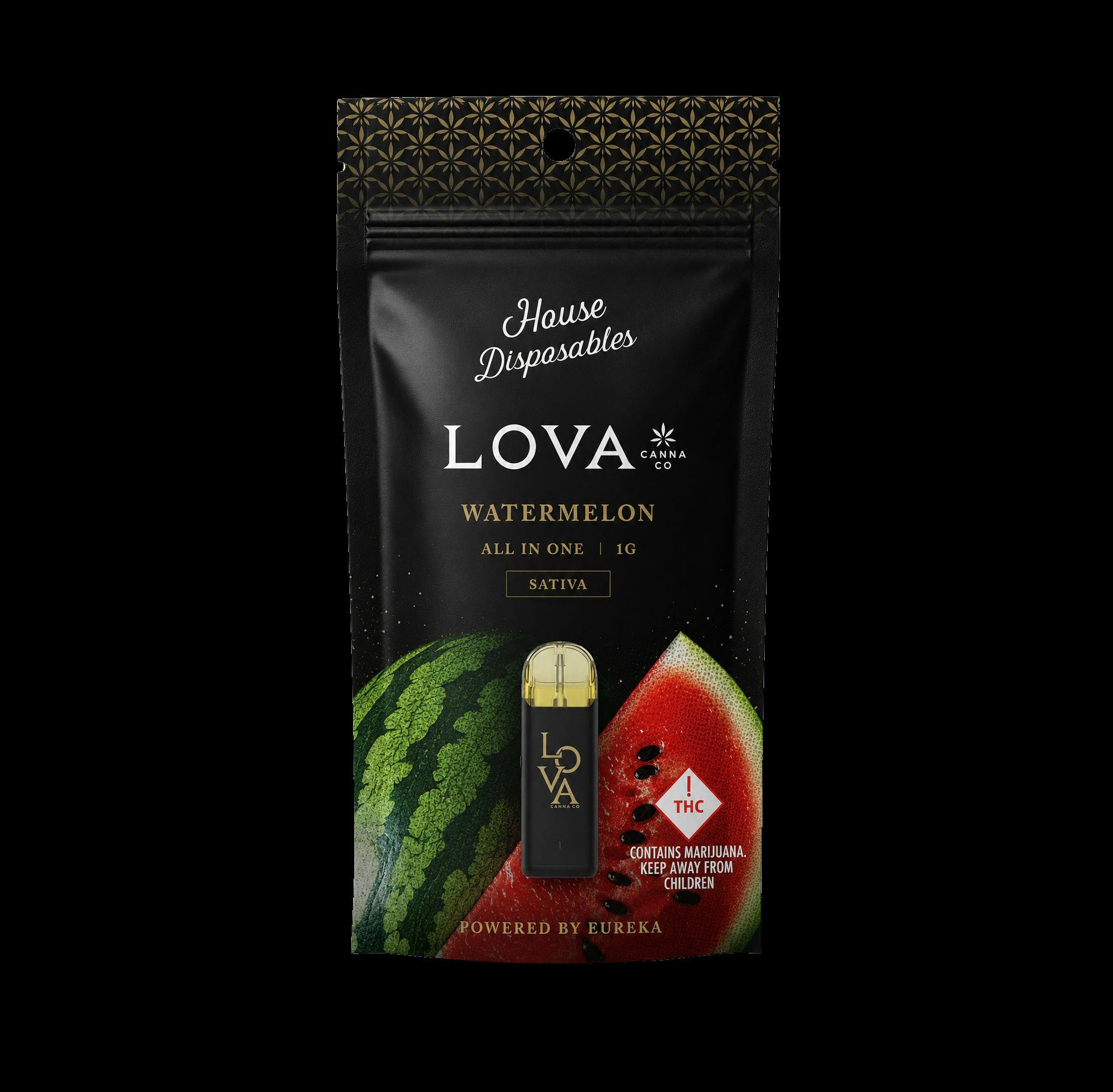 Watermelon-(S)-Disposable-1000mg-Lova