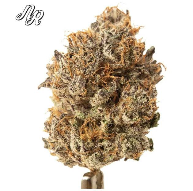 Blackberry Kush