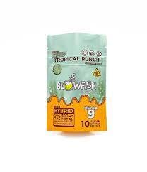 Blowfish Legal | Tropical Punch | Hybrid