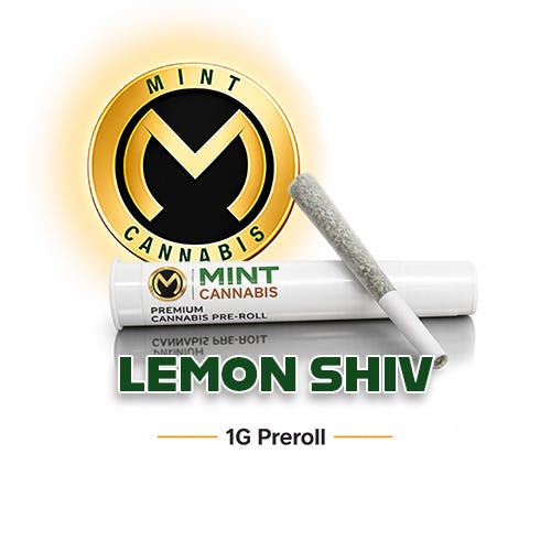Mint Premium 1g Preroll Lemon Shiv at Mint Cannabis - Jacksonville