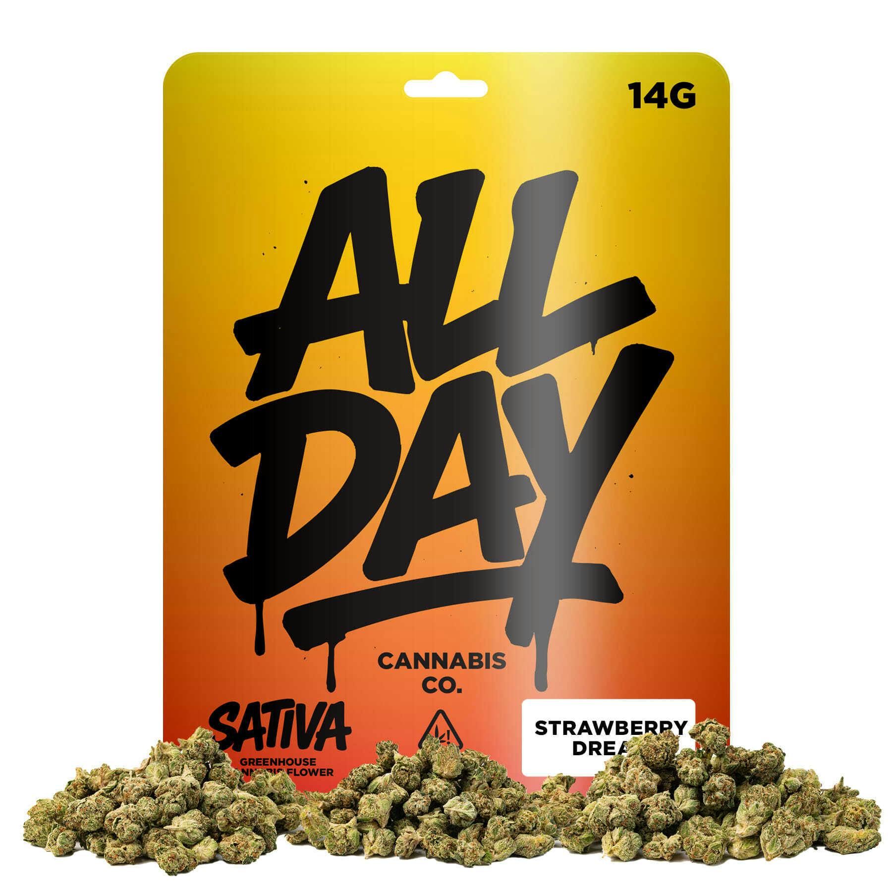 All Day - Strawberry Dream | 14g