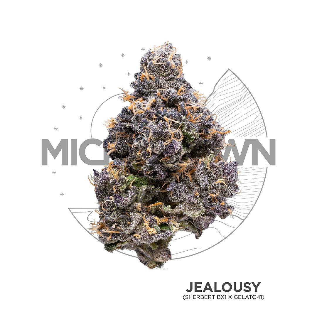 Michigrown - Jealousy 3.5g cannabis product