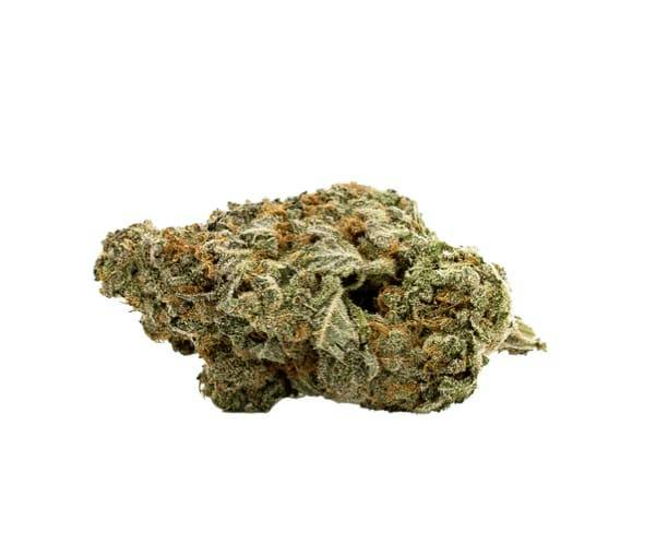WHITE WALKER - 7G