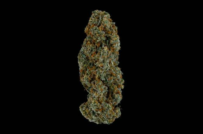 BC ORGANIC LILAC DIESEL 3.5G