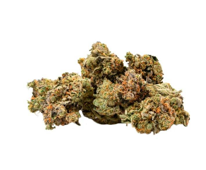 ORGANIC MINT CHOCOLATE CHIP - 14G