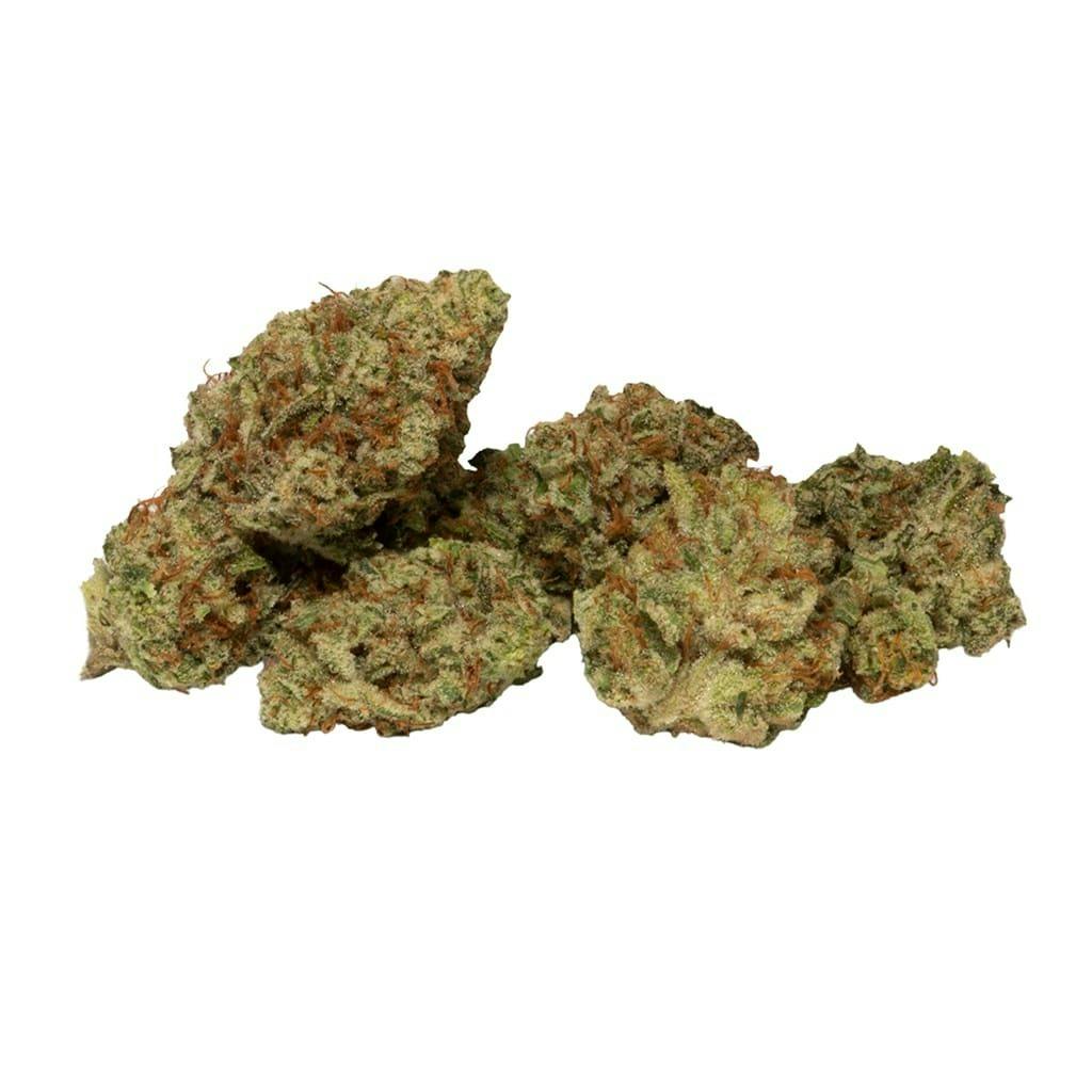 GLUERANGUTAN - 7G