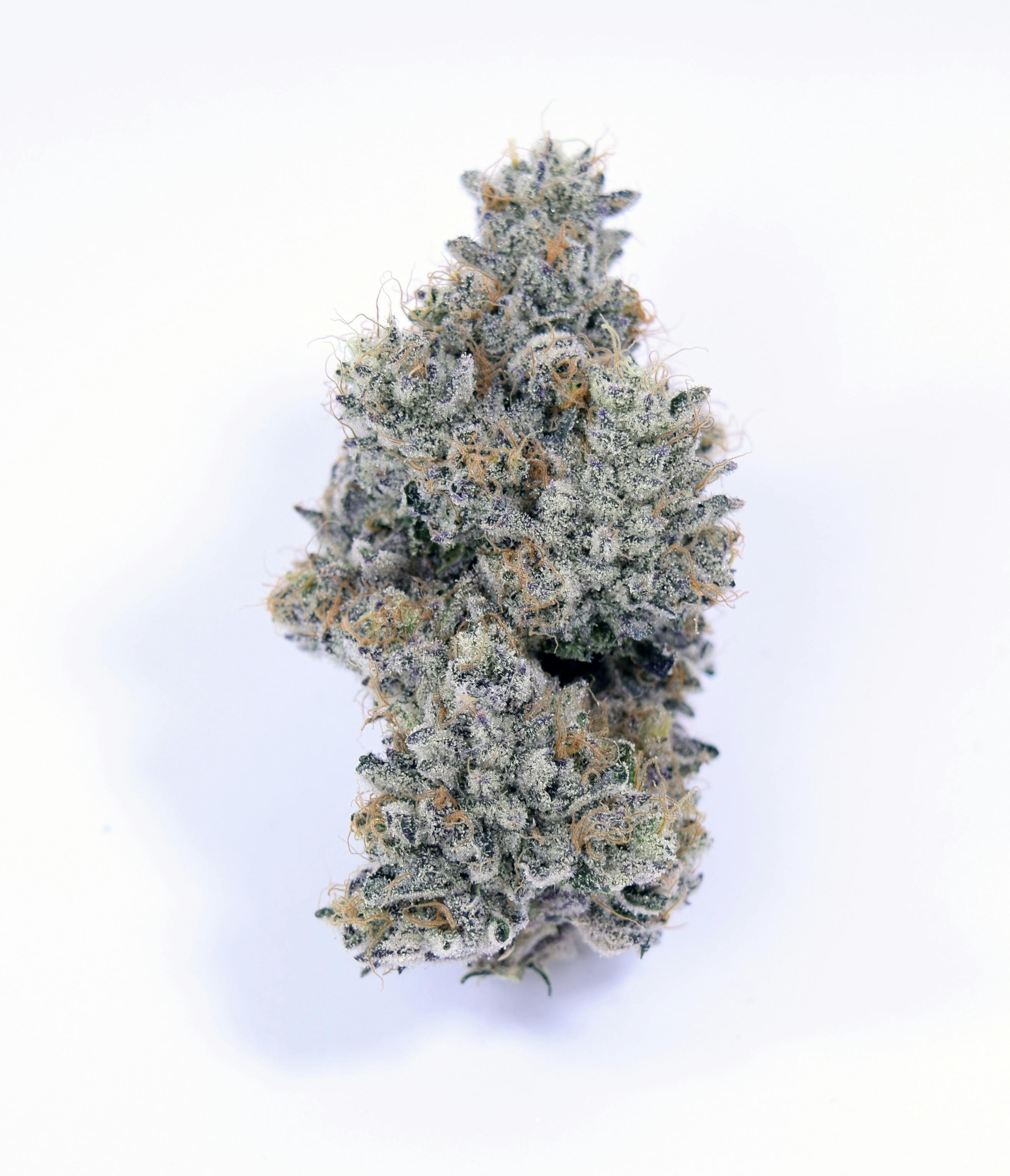 SOLD OUT - Wedding Sunset (I) - 2025 HIGH 95 CANNABIS CUP 1ST PLACE at Headies Medical Cannabis Dispensary (Biddeford)
