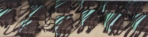 21+ Mint Dipped Chocolate Fudge (100mg Total)