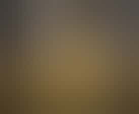 *DEAL - 2 FOR $75 - (2) 2G D-i-s-p-o-s - Full Spectrum Distillate*