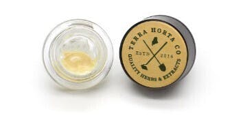 Terra Horta - Motor Mints (I) - Live Rosin 1g