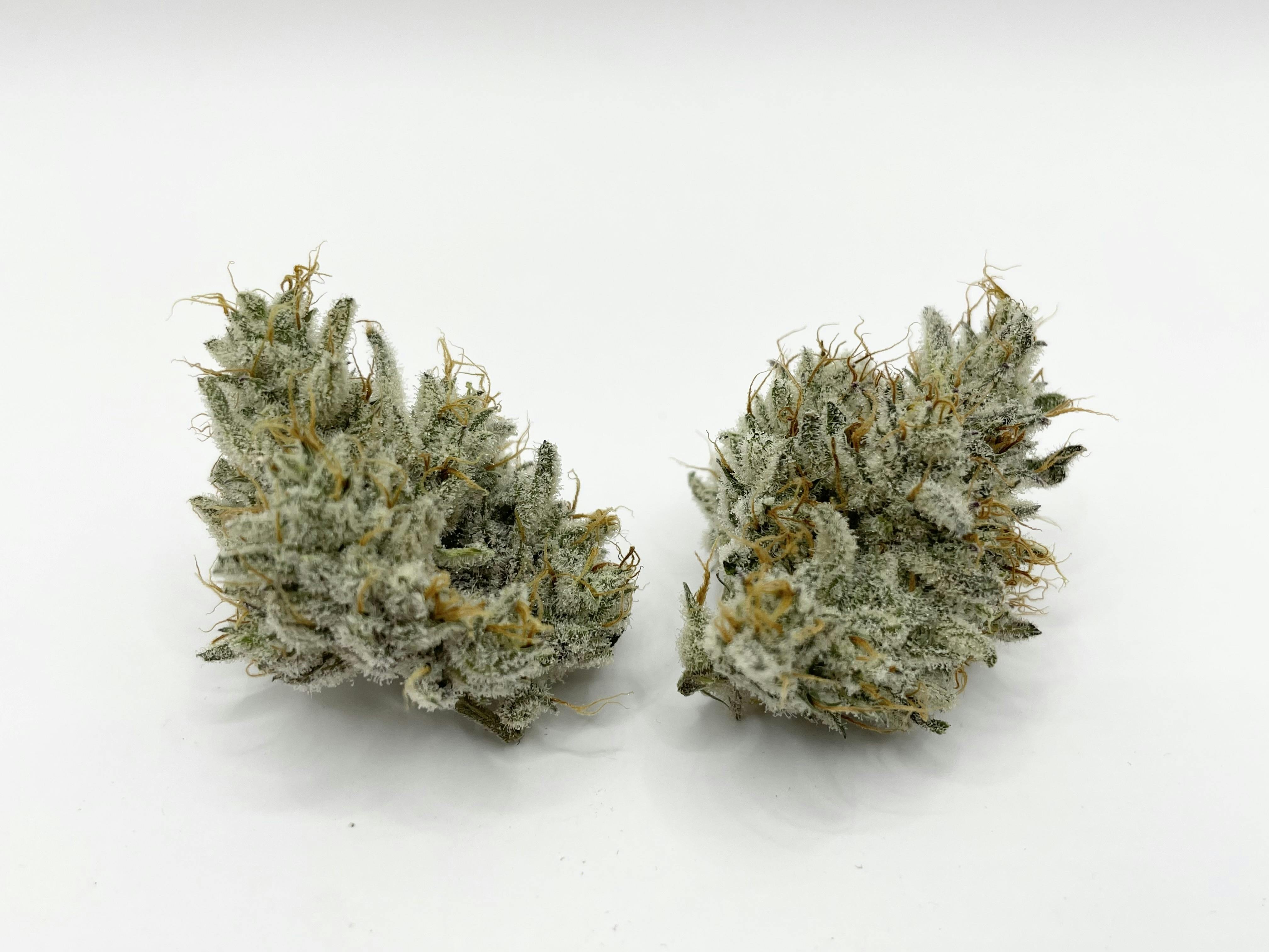 Grease Monkey (I)