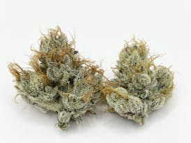 Blueberry Cherries (I)