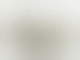 Blueberry Cherries (I)