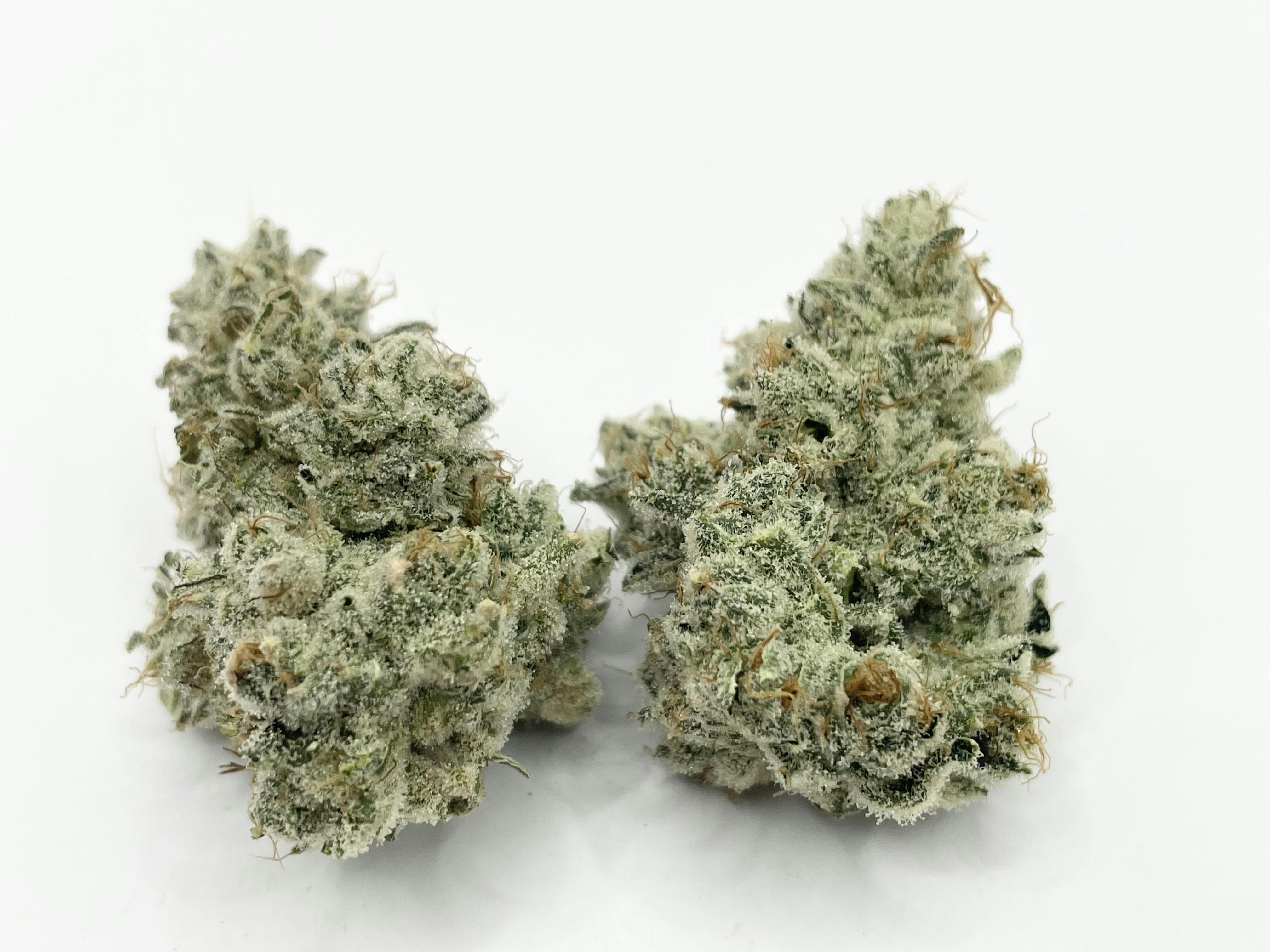 Emergen C (H) - 2025 HIGH 95 CANNABIS CUP 6TH PLACE
