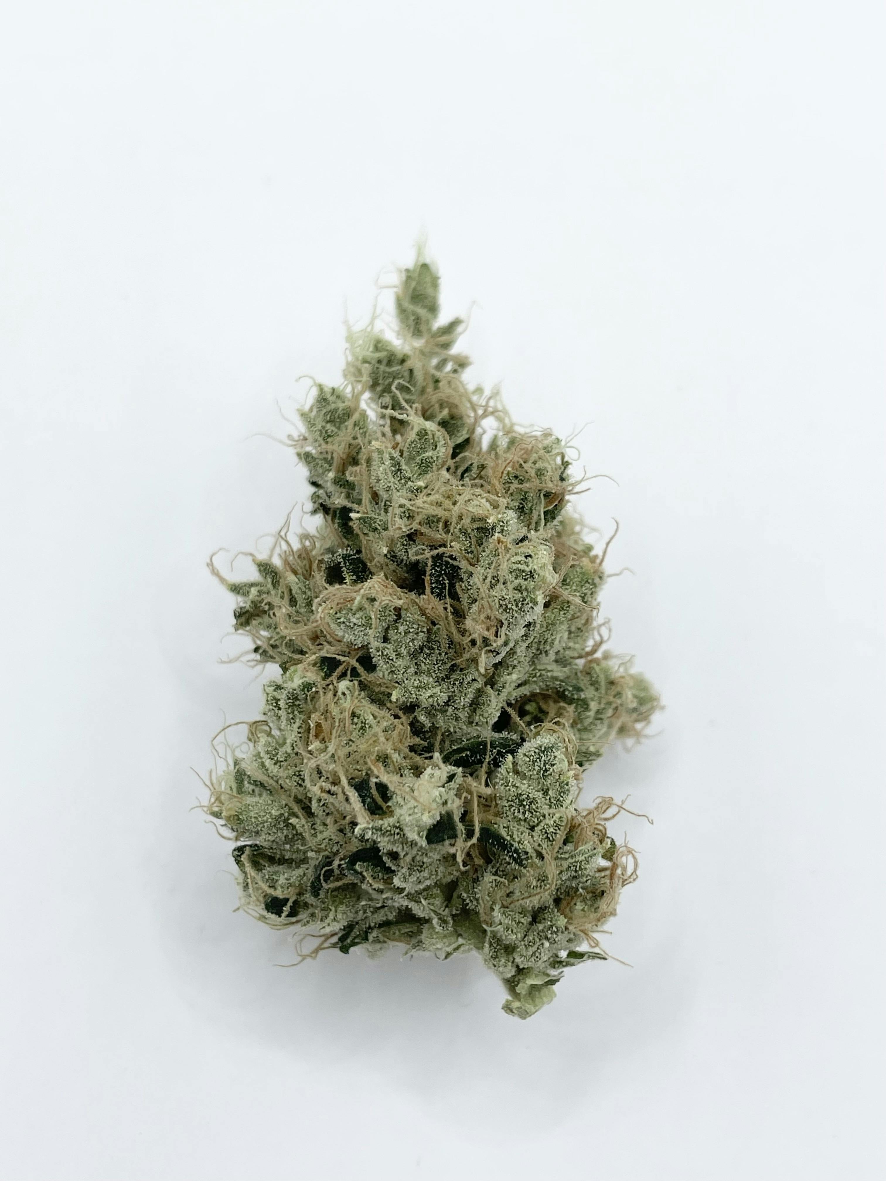 Sour Diesel (S)