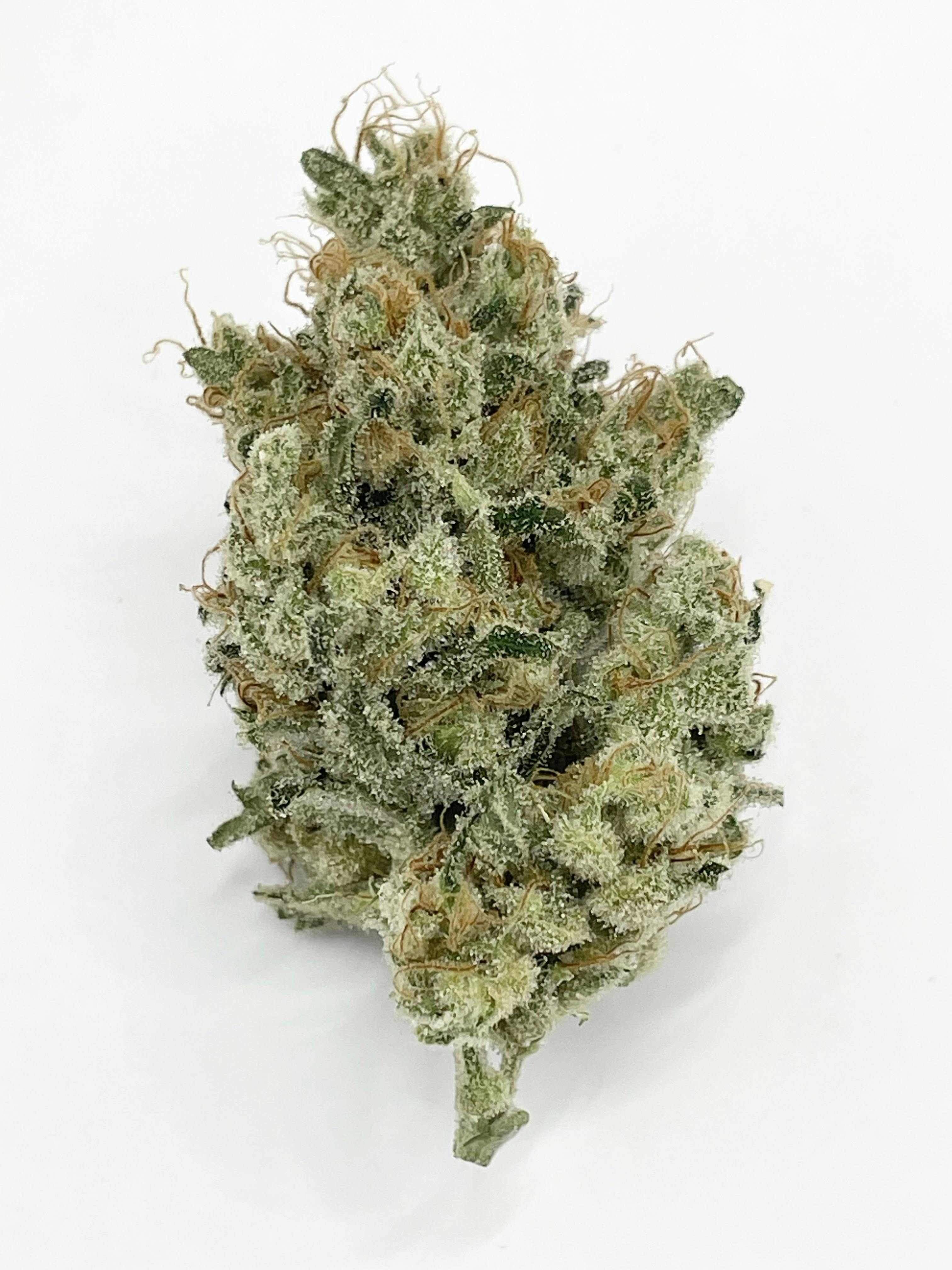 Blue Dream (S)