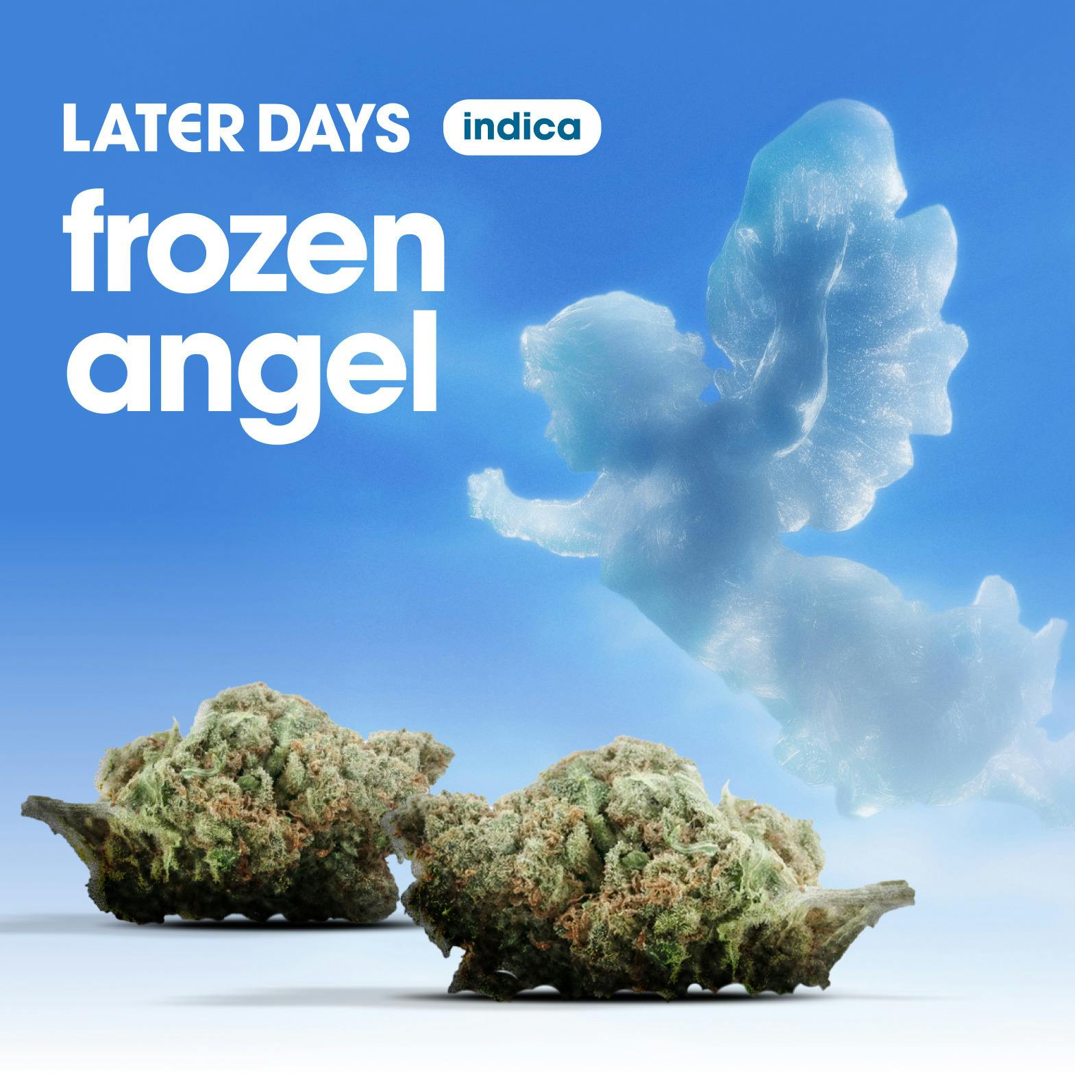 Frozen Angel