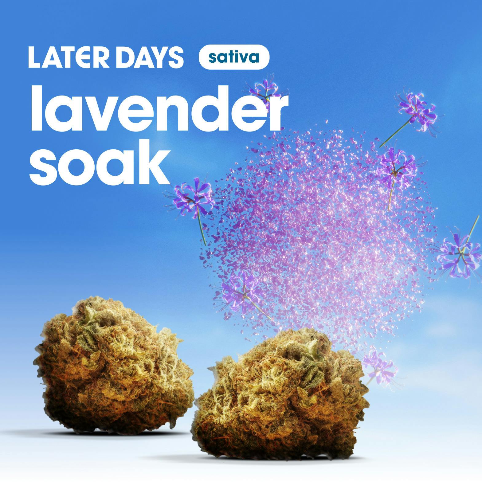 Lavender Soak