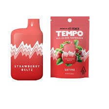 Tempo | Strawberry Beltz | AIO Disposable | 1g by Tempo