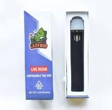 LAZY BUD BUBBLEGUM GELATO AIO
