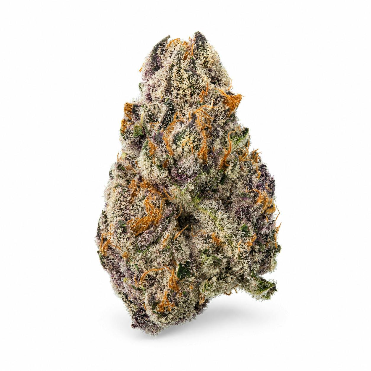 Popcorn - Gary x Mac - 1/8th