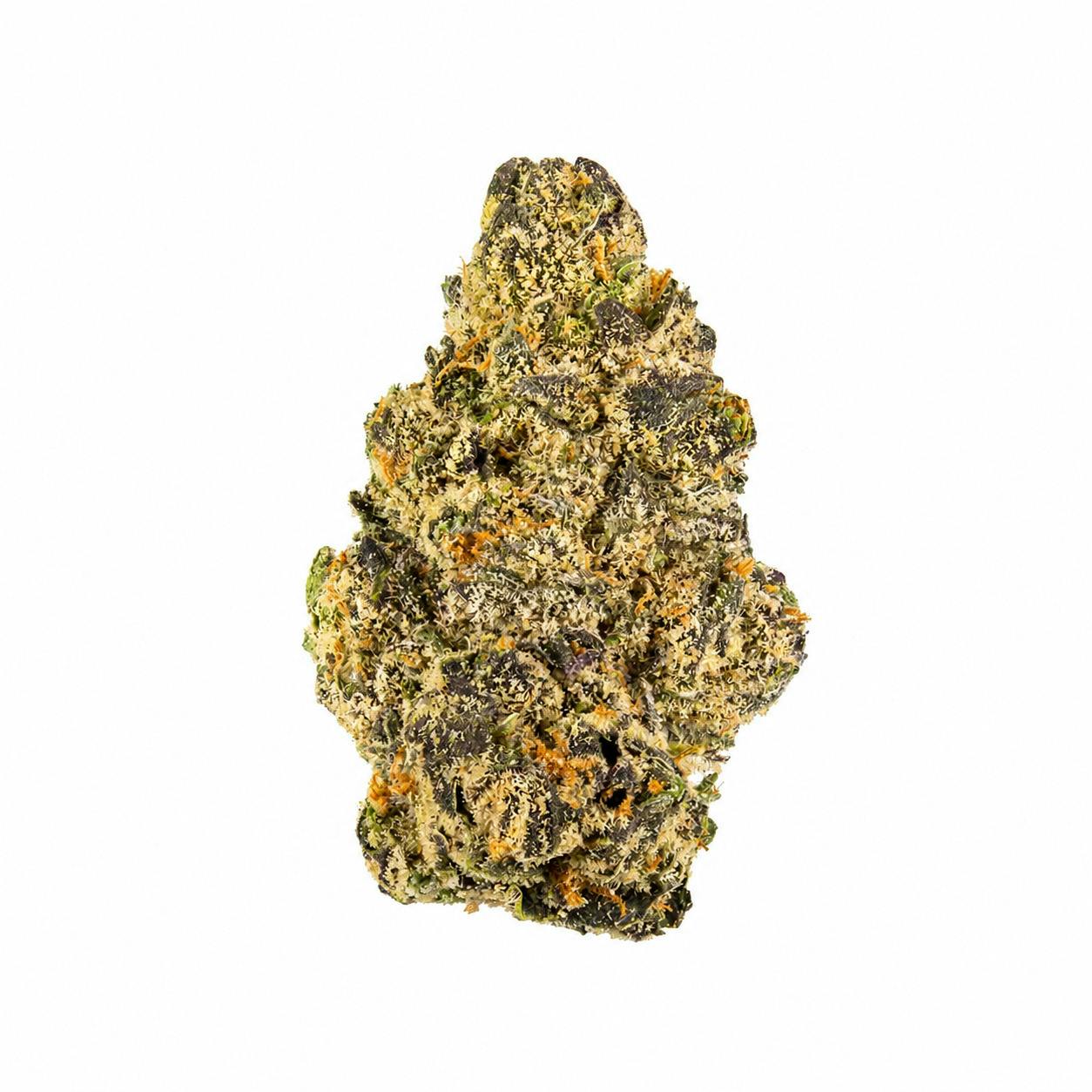 Popcorn - Runtz - 1/8th