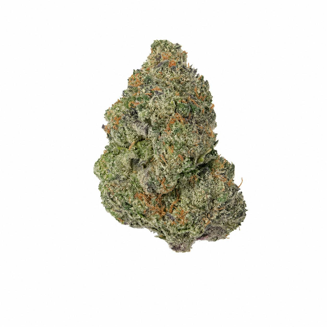 Popcorn - Big Velvet - 1/8th