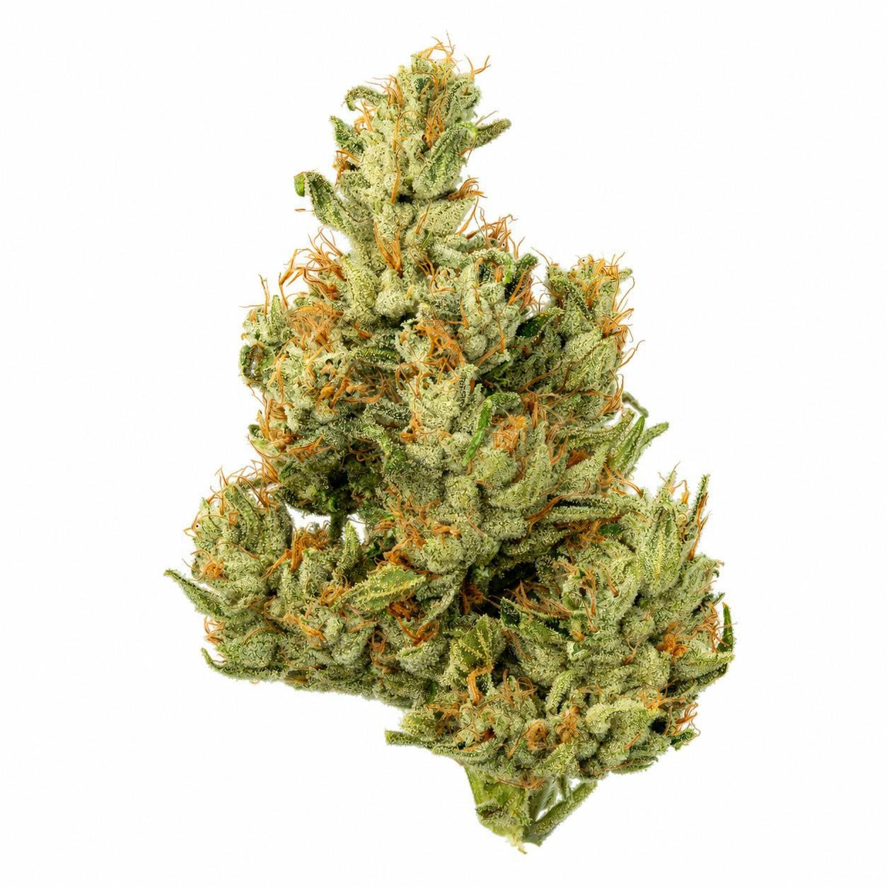 Chem De La Chem - 1/8th