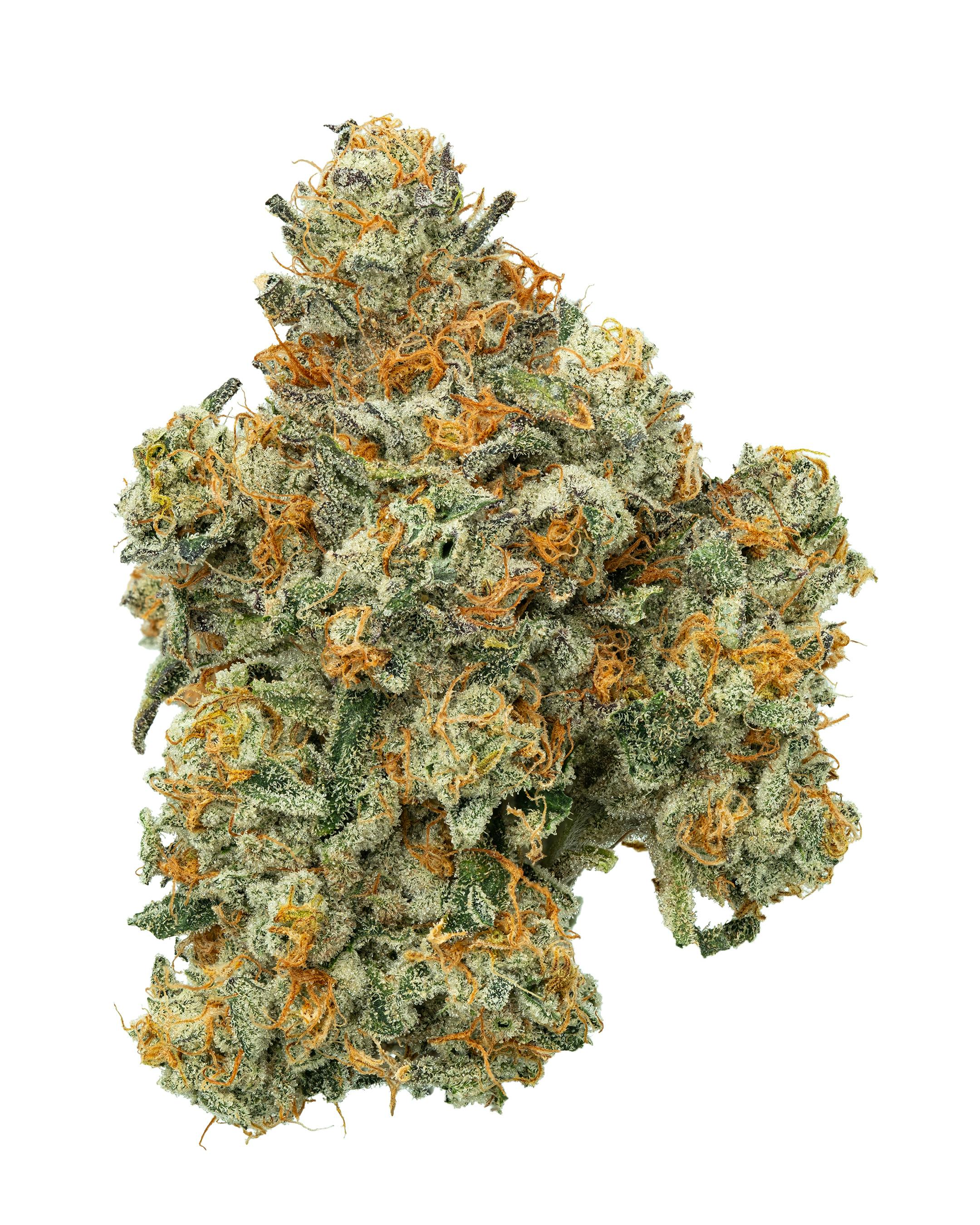 1/2 Zips - Flower - Truffle Monkey