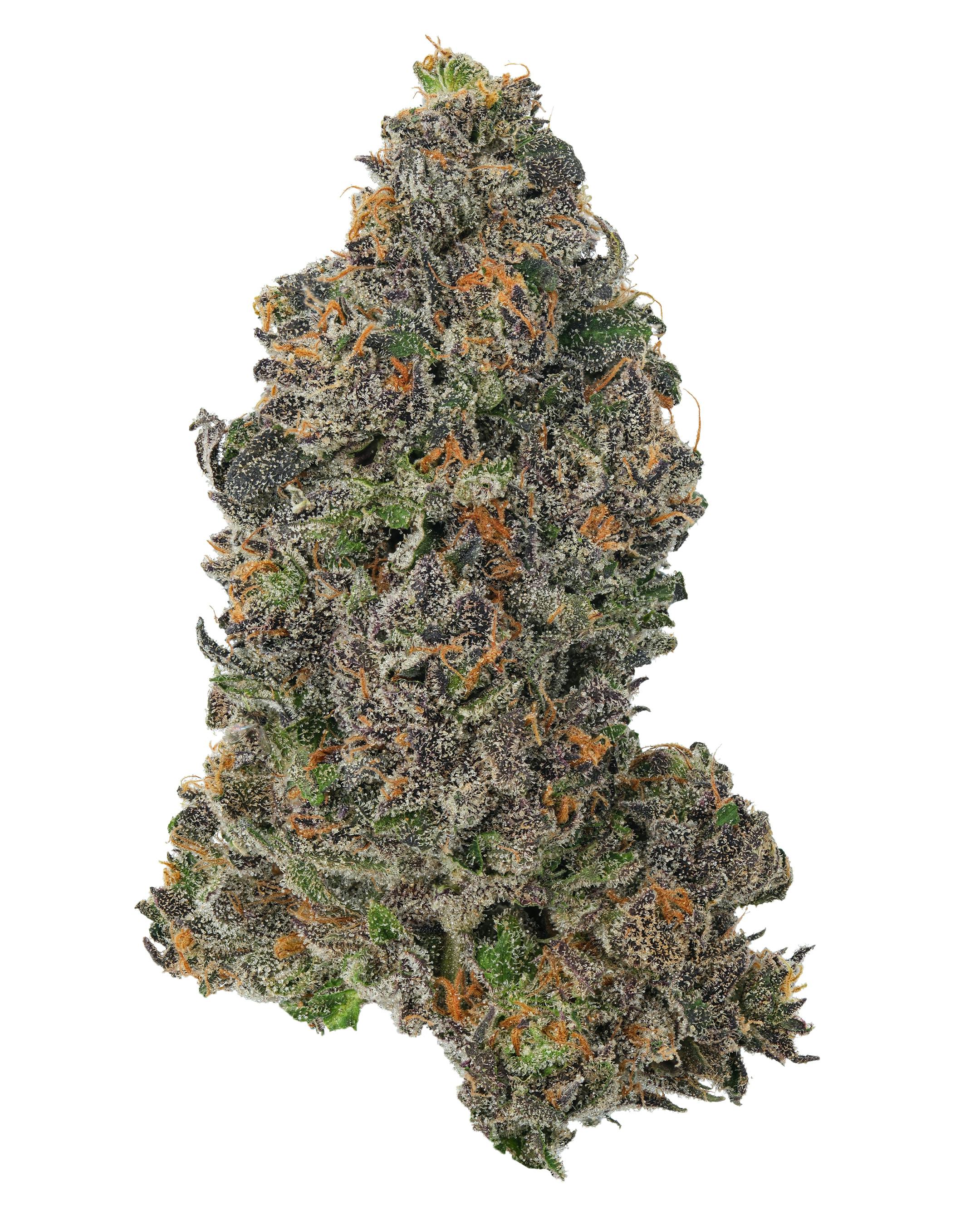 1/2 Zips - Flower - Super Silver Haze x Gelato 1