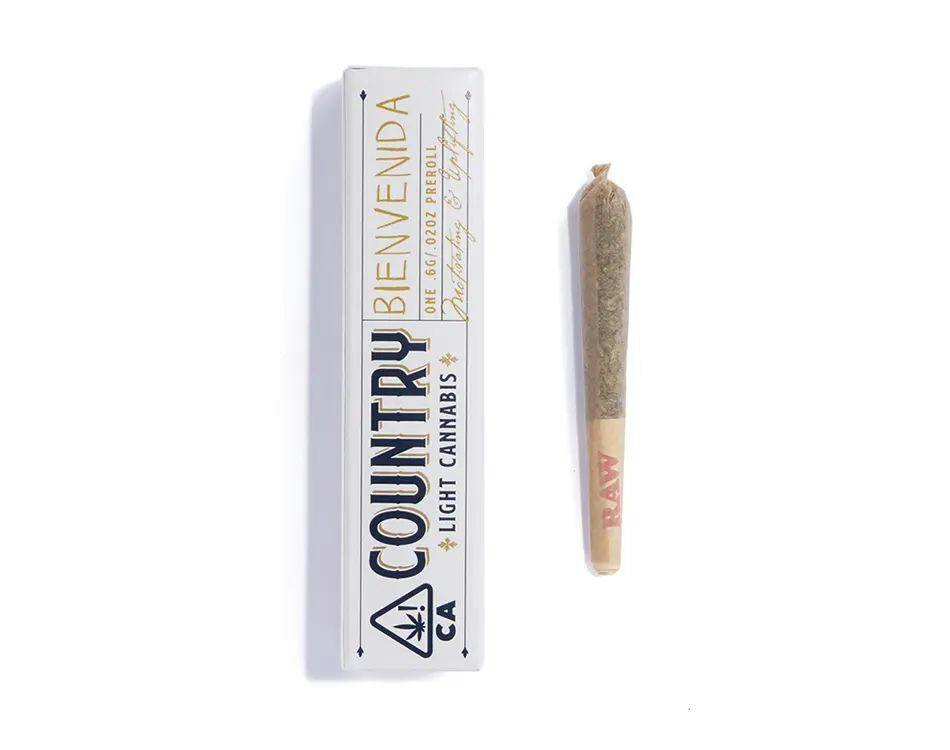 BIENVENIDA 1:3 PREROLL (1PK)