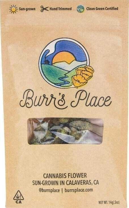Burr's Place — Gelato Kush- Bag