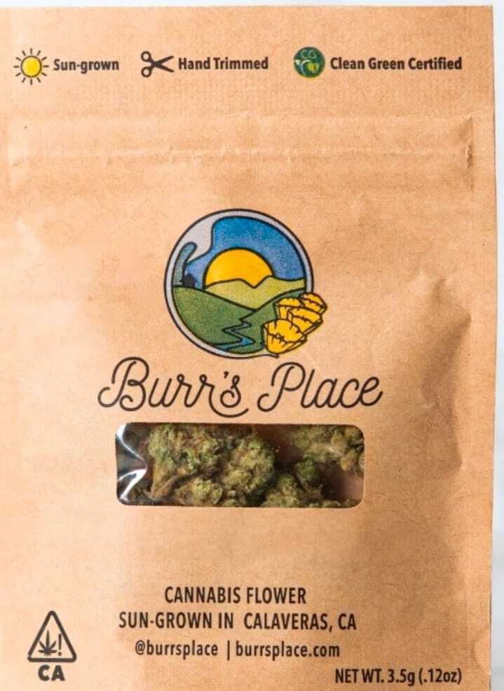 Burr's Place — Guava Drizzle Bag