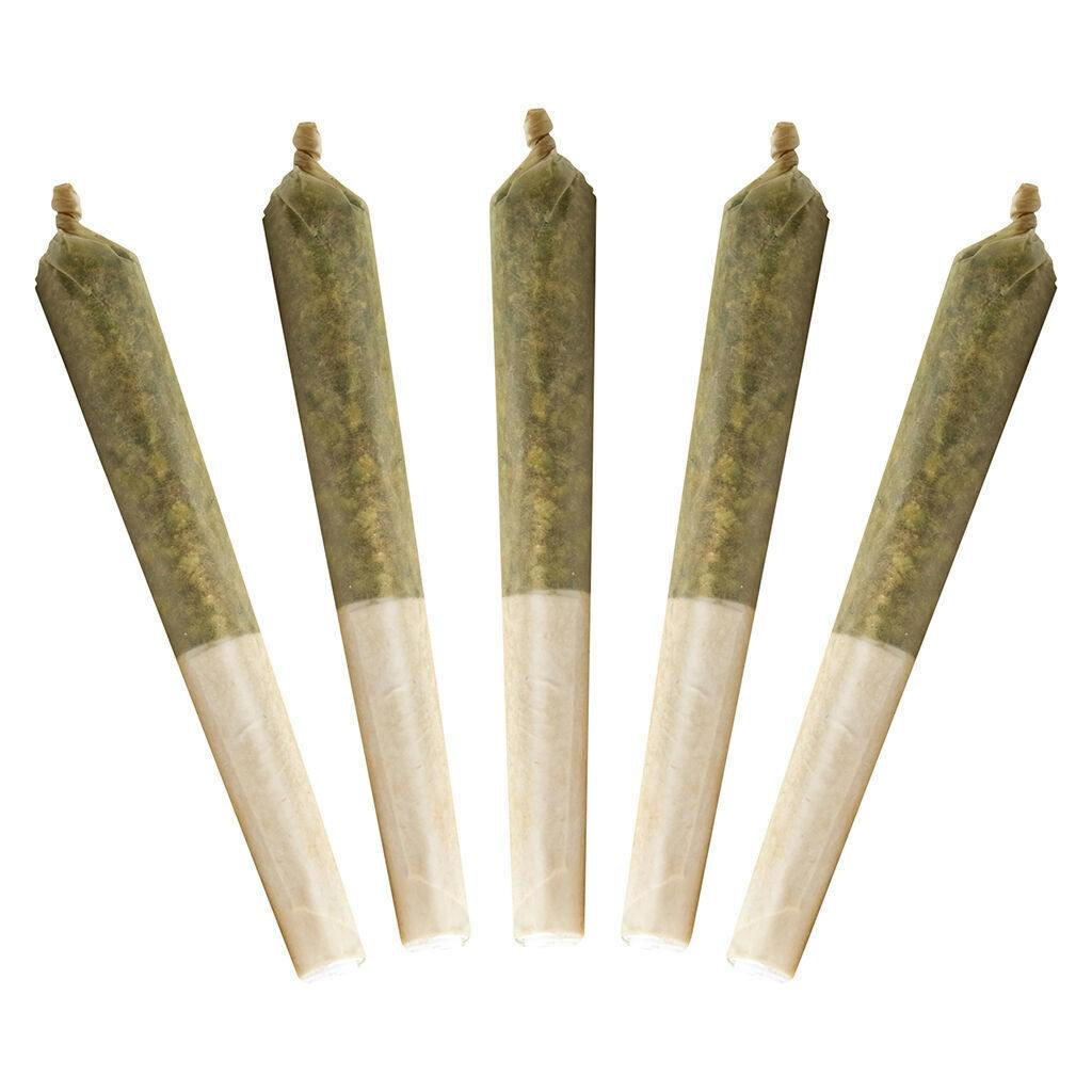Buddy Blooms - Black Cherry Punch Bubble Hash Infused Pre-Roll - Indica - 5x0.5g