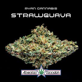 [Shake] Ryan Cannabis Farm Strawguava 28g [Hybrid]