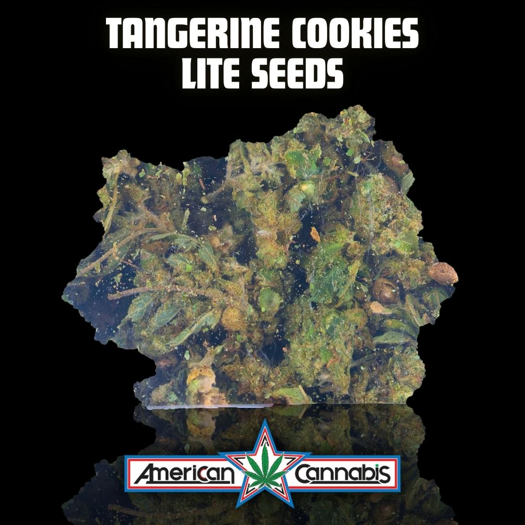 [Flower] ACC Tangerine Cookies Lite Seeds 28g [Indica]